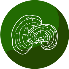 vitaminindex.hu