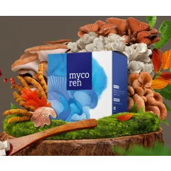 Energy Mycoren gyógygomba 90 kapszula 