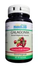 NutriLAB Galagonya Forte 300mg 2x1 doboz DUO pack 2x60 kapszula csomagban olcsóbb!