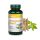 Vitaking Ashwaganda kivonat 240 mg 60 kapszula