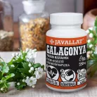Javallat Galagonya virágos hajtásvég étrend-kiegészítő gyógynövénykapszula - 60 db