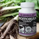 Javallat Bojtorjángyökér étrend-kiegészítő gyógynövénykapszula - 60 db