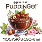 PuddinGo!® Mogyorós csoki ízű étrend-kiegészítő pudingpor 360g