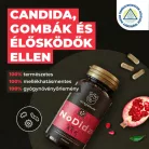 Myrobalan NoDida 60 db kapszula