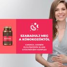 Myrobalan NoDida 2x1 dobozos csomag - 2x60 vegán kapszula csomagban olcsóbb!