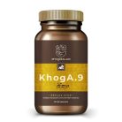 Myrobalan KnogA.9 60 db vegán kapszula 