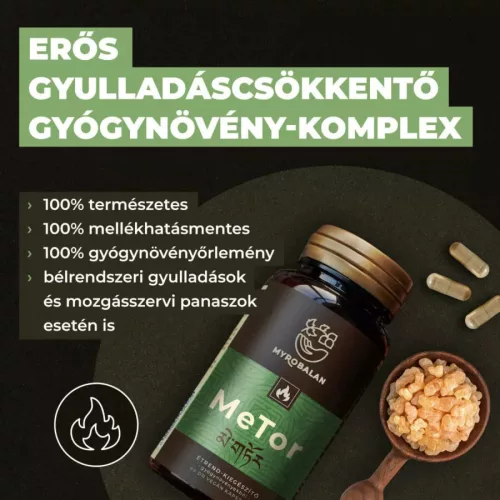 Myrobalan MeTor 2x1 doboz DUO pack gyulladáscsökkentő gyógynövény komplex 2x60 kapszula - csomagban olcsóbb!