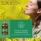 Myrobalan MeTor 2x1 doboz gyulladáscsökkentő gyógynövény komplex 2x60 kapszula - csomagban olcsóbb!