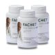 Dr Fachet Gyógygomba Vital Defense BASIC TRIO Pack 3x120 db