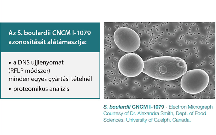 Flórabiotikum Saccharomyces boulardii és guárbab prebiotikum FLÓRABIOTIKUM Saccharomyces boulardii és fermentált guárbab prebiotikum