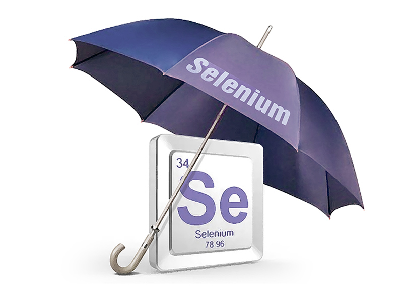 Organikus, szerves szelén Natur Tanya® 